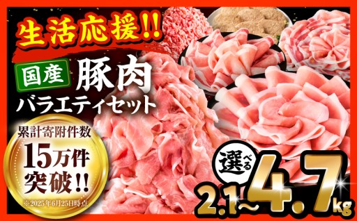 【宮崎県宮崎市】🐖豚肉ロースバラエティセット🐖