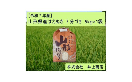 令和7年産山形県産はえぬき　7分づき5kg×1袋【1728609】