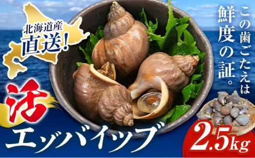 【期間限定】コリコリ食感！活エゾバイツブ2.5kgの大容量