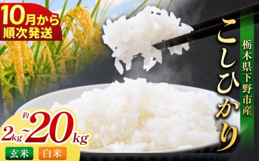 【2026年産 新米 先行予約受付中！】自然が育む、甘み際立つ一粒✨