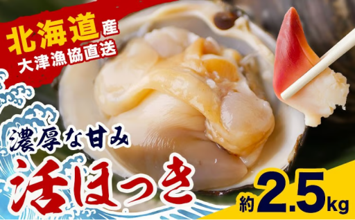 【期間限定】濃密な甘み！産地直送「活ほっき貝」たっぷり2.5kg