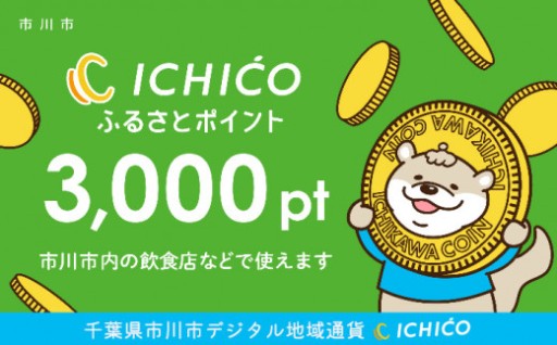 市川市のデジタル地域通貨 3,000pt