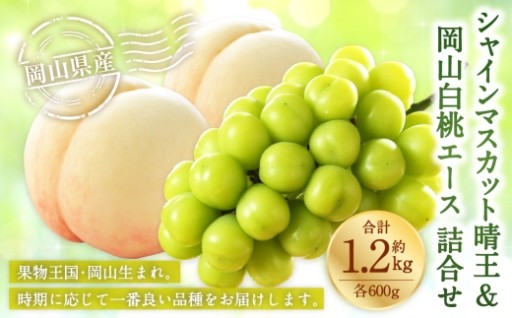 岡山県産 岡山白桃 エース 3Lサイズ 約300g×2玉・ シャインマスカット 晴王 約600g×1房 詰合せ