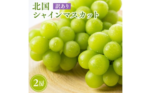 2026年産先行受付　訳あり 北国の冬シャインマスカット2房