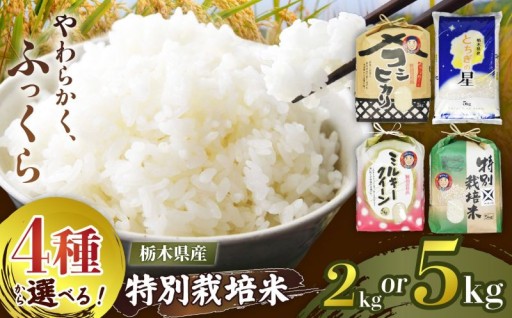 【先行予約開始】矢板市産のおいしい新米♪数量限定でご用意しました！