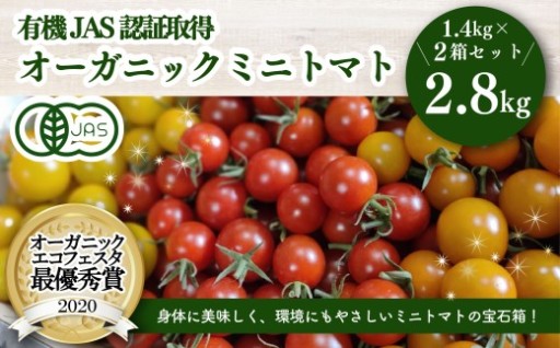 濃厚！有機ミニトマトの宝石箱 2.8kg　