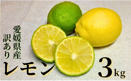 先行予約受付中！レモン 3kg ご家庭用 サイズミックス🍋