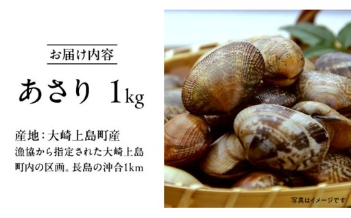 砂抜き不要のプリっプリな新鮮あさり、「4代続く島の漁師中村さん」が丹精込めて育てました【期間限定】