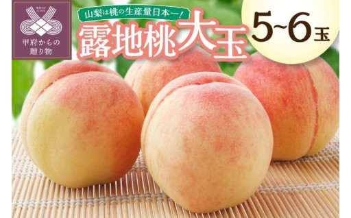 〈2026年度配送分〉露地桃大玉 5-6玉