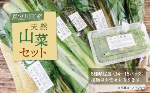 真室川町産　天然山菜セット