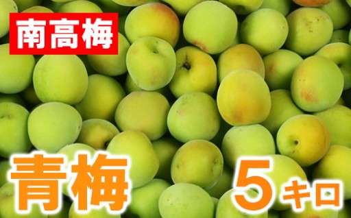 ひらそ農園の青梅 5kg