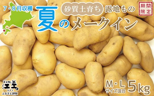 夫婦二人三脚で丹精込めて育てる「夏」のメークイン