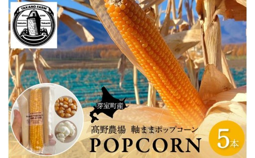 【北海道芽室町】電子レンジで簡単・楽しい😊北海道十勝芽室町 ポップコーン🌽 イエロー5本