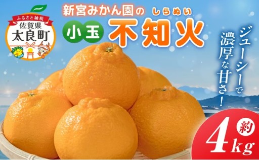 新宮みかん園の不知火（S～M）4kg