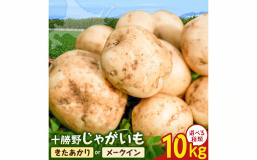 ホクホクの甘み！十勝野じゃがいも10kg