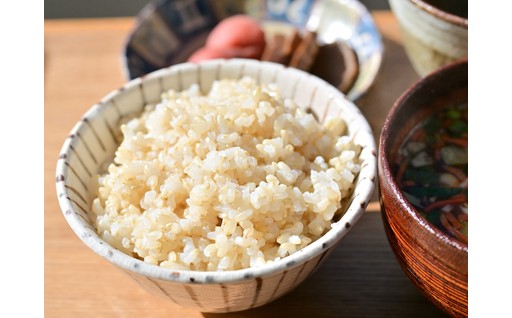 北海道奈井江町産「ゆめぴりか」