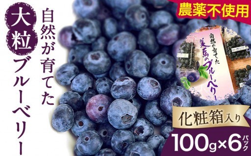 ★先行予約受付中★大粒で食べ応え◎こだわりブルーベリー