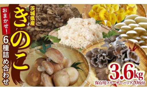 七会きのこセンターのきのこ6種類をお届け！