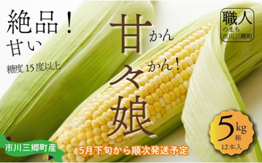 甘々娘 とうもろこし 12本入り 5kg箱