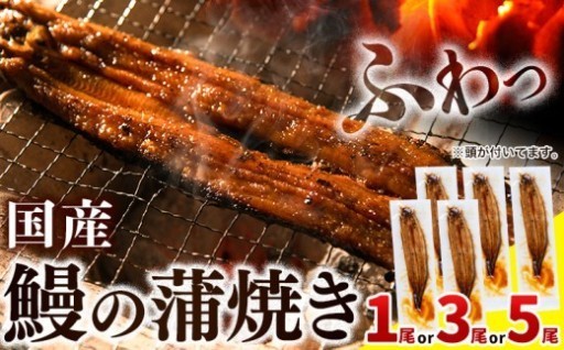 【最短3営業日出荷】特大1尾がおすすめ！極上の「ふわとろ」うなぎがすぐ届く！