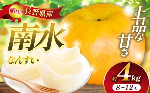 信州 上伊那産 贈答用 南水 約4kg (8～12玉) 