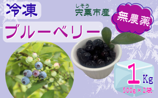 しそうの冷凍ブルーベリー　うま味がギュ！無農薬！