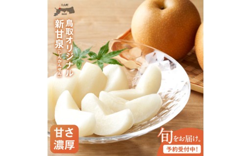 DS-16　【最高等級(赤秀)をお届け】新甘泉梨（しんかんせんなし）（５ｋｇ）