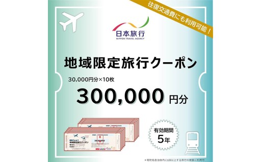 大分県 日本旅行 地域限定旅行クーポン (300,000円分) 