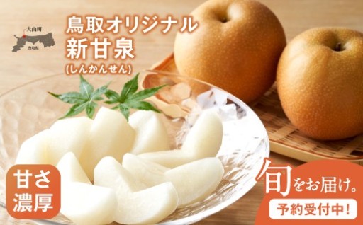 【先行予約】DS-03　新甘泉梨（しんかんせんなし）（５ｋｇ）