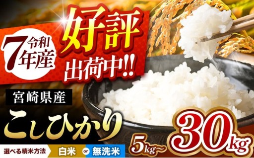 宮崎県産こしひかり 選べる容量5kg～30kg