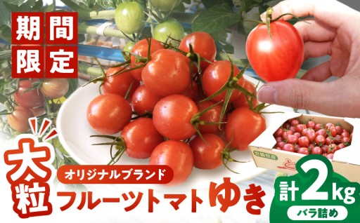 【宮崎県都農町】🚨4月30日まで🚨オリジナルブランド「フルーツトマト ゆき」計2kg🍅