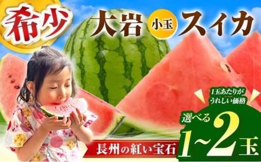 大岩郷 長州の紅い宝石 先行予約 小玉スイカ 1玉～2玉