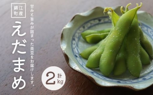 甘みと旨味いっぱい！！錦江町産枝豆〈茶豆〉