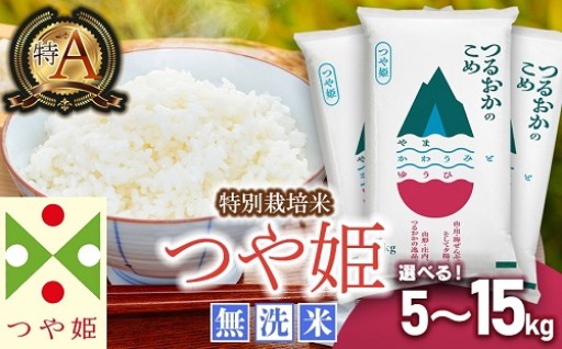 【SDGs特別企画】 鶴岡産 令和７年産 つや姫 無洗米 一等米