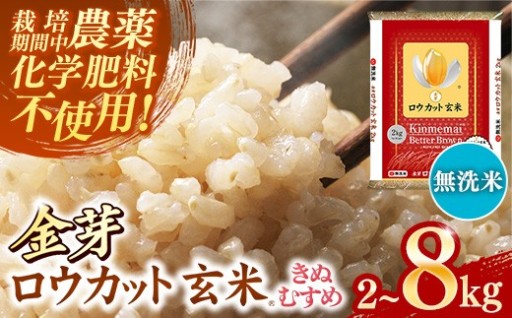 【NEW！】金芽ロウカット玄米 島根県産 きぬむすめ【選べる容量】