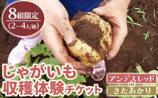 湧水町じゃがいも収穫体験チケット(1列分) 【中津川ファーム】