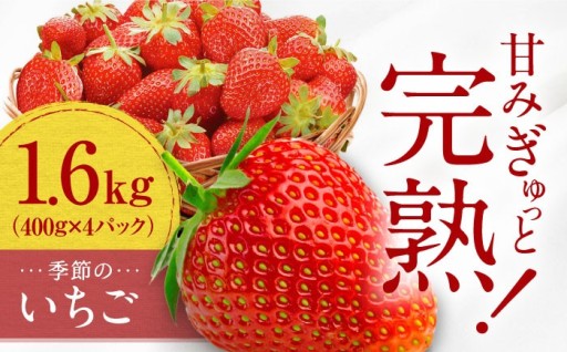 【残りわずか！】甘みぎゅっと内子町完熟いちご