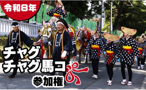 チャグチャグ馬コの行進行事を体験できます