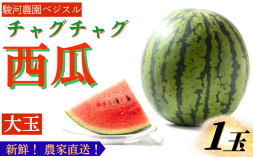 県内トップクラスのスイカ産地「滝沢」から産地直送