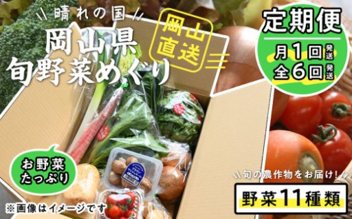 【定期便】晴れの国おかやま　旬野菜めぐり11種 〈月1回・全6回〉