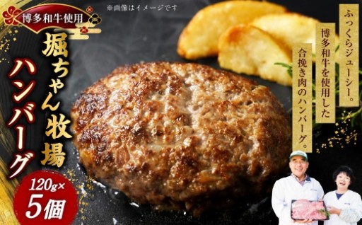 堀ちゃん牧場ハンバーグ 120g×5個