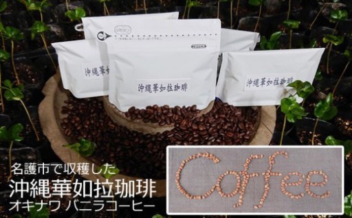 【100%名護市産】コーヒー（粉）100g×2袋