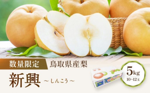 【先行予約】数量限定 鳥取県産梨 新興（しんこう） 5kg（10～12玉）