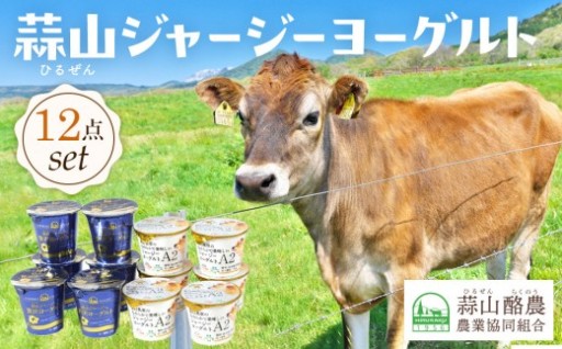 蒜山ジャージーヨーグルト 12点セット（H-972）