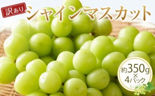 【訳あり】シャインマスカット 350g前後×4パック