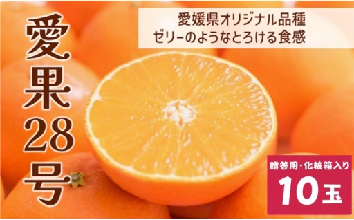 先行予約受付中！🍊愛果28号 10玉入り✨数量限定✨