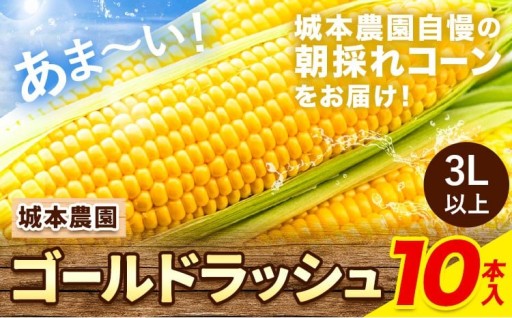 熊本県産山村産！朝採れスイートコーン10本 3L以上 ゴールドラッシュ！
