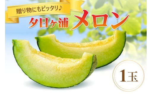 贈り物にもぴったり🎵夕日ヶ浦メロン🍈