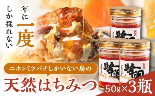  対馬の希少蜜！天然ニホンミツバチのはちみつ