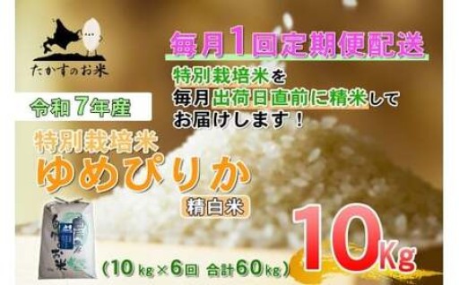 【6回定期便】 【令和7年産】 ゆめぴりか （精白米） 10kg×6回 合計60kg